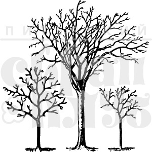ФП штамп &quot;Три дерева&quot;